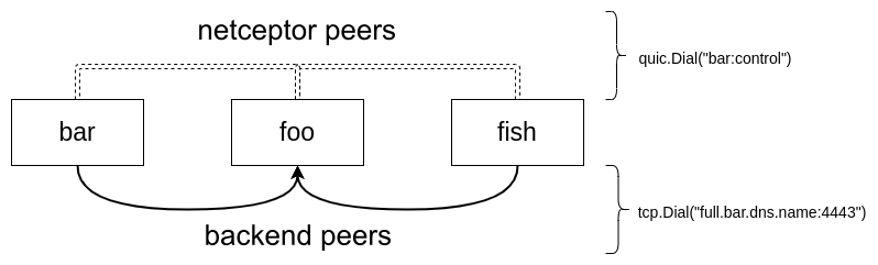 Connected nodes as netceptor peers